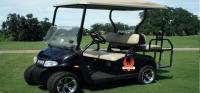 Phoenix Golf Car image 3